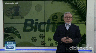 Tv Atalaia: é o Bicho